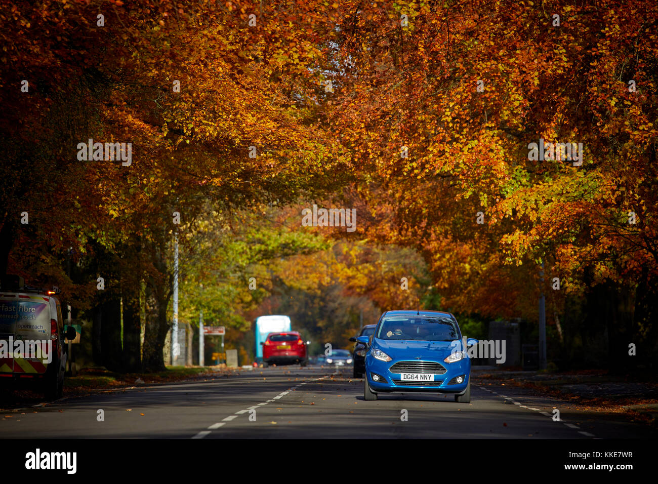 Wilmslow Golden Autumn Leaves coprire Manchester Road verso Handforth Foto Stock