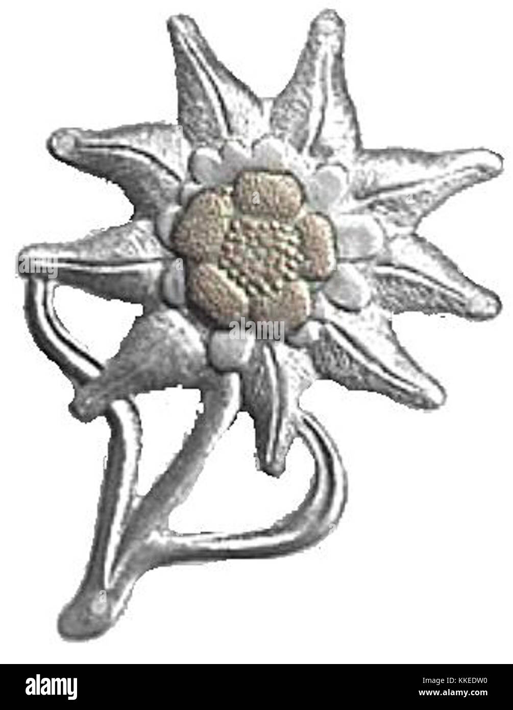 Korpus Podhalanski fu una formazione militare dell'esercito polacco durante la prima guerra mondiale, concentrata principalmente sulla difesa della regione di Podhale nel sud della Polonia. Questo corpo ha svolto un ruolo importante nella lotta nazionale per l'indipendenza. Foto Stock