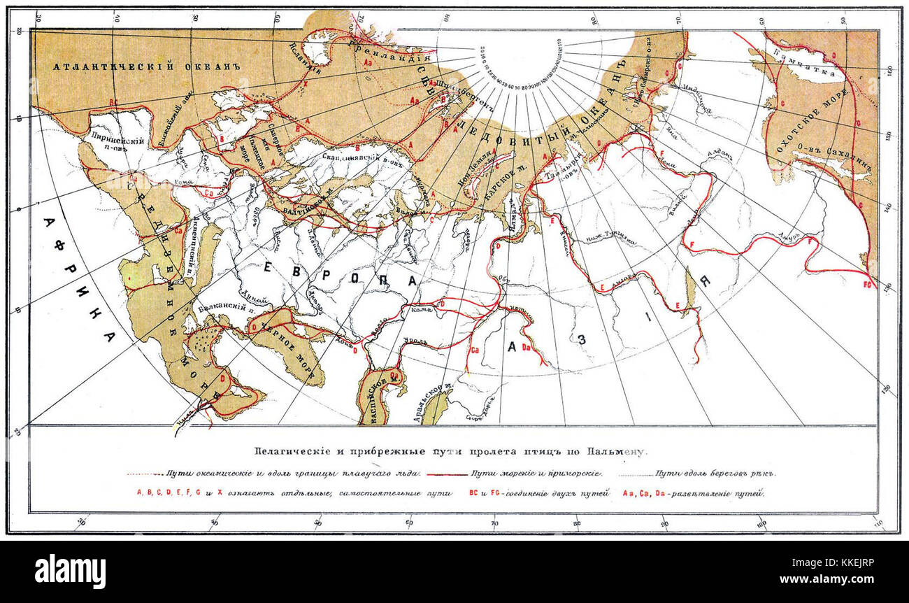 Questo riferimento del Dizionario enciclopedico Brockhaus ed Efron presenta informazioni dettagliate su un argomento specifico. Il dizionario è rinomato per la sua copertura completa di vari argomenti, specialmente durante l'inizio del XX secolo. Foto Stock