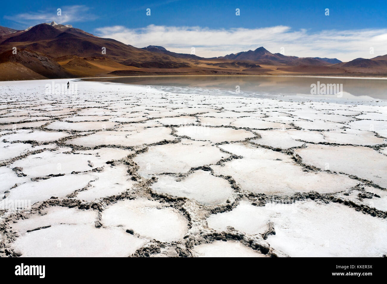 Remote Laguna Tuyajto e le Saline (3800m) nel deserto di Atacama nel nord del Cile, America del Sud. Foto Stock