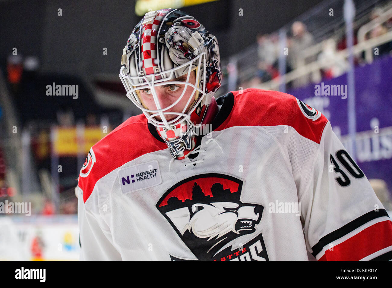 Charlotte G Nedeljkovic (30) durante l'AHL hockey gioco tra lo Springfield Thunderbirds e il Charlotte Checkers venerdì 1 dicembre 2017 a Bojangles Coliseum di Charlotte, NC. Giacobbe Kupferman/CSM Foto Stock