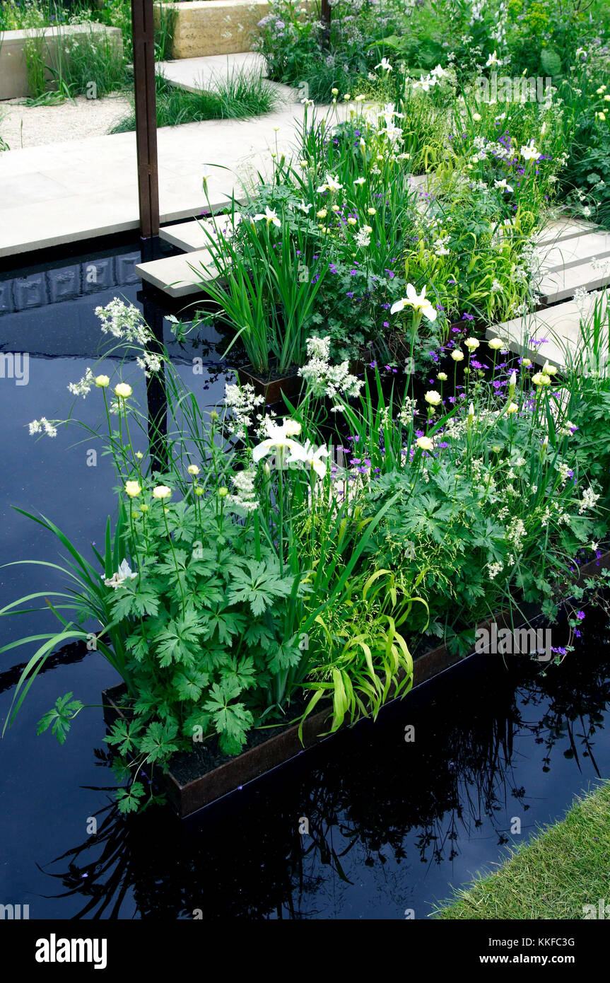 Calma e fiore peceful semina con funzione di acqua in un giardino moderno Foto Stock