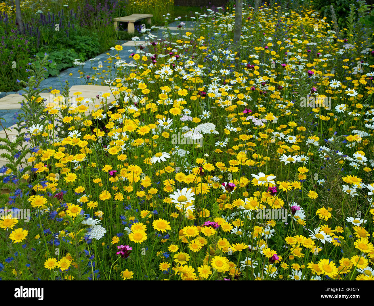 Un fiore coloratissimo prato, giardino e frutteto in ambiente urbano Foto Stock