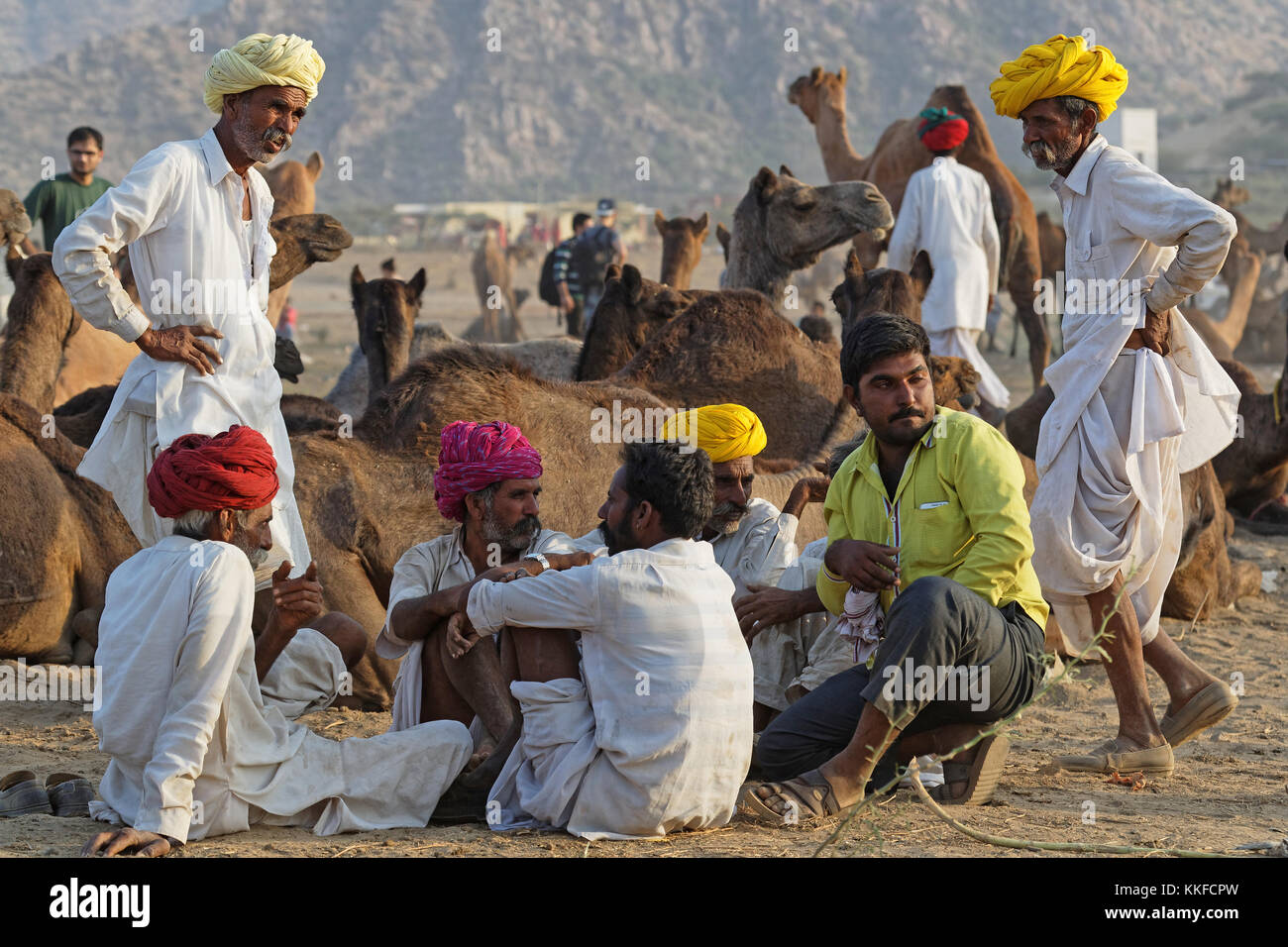 PUSHKAR, INDIA, 28 Ottobre 2017 : Gli agricoltori raccolgono sul festival. Pushkar Camel fair è una delle più grandi fiere del bestiame nel paese con migliaia Foto Stock