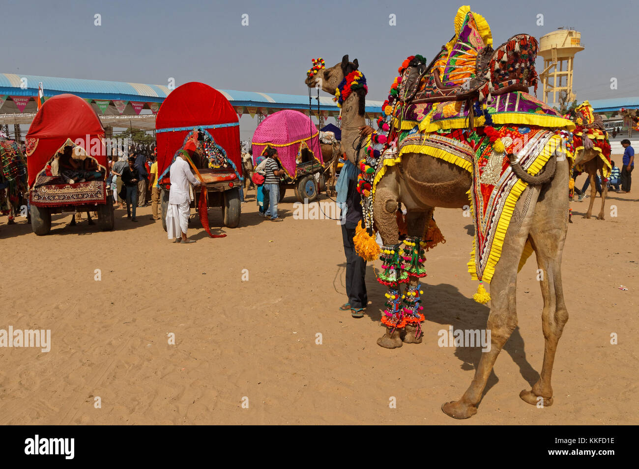 PUSHKAR, INDIA, 29 Ottobre 2017 : Decorata cammelli. Pushkar Camel fair è una delle più grandi fiere del bestiame nel paese con migliaia di animali. Foto Stock