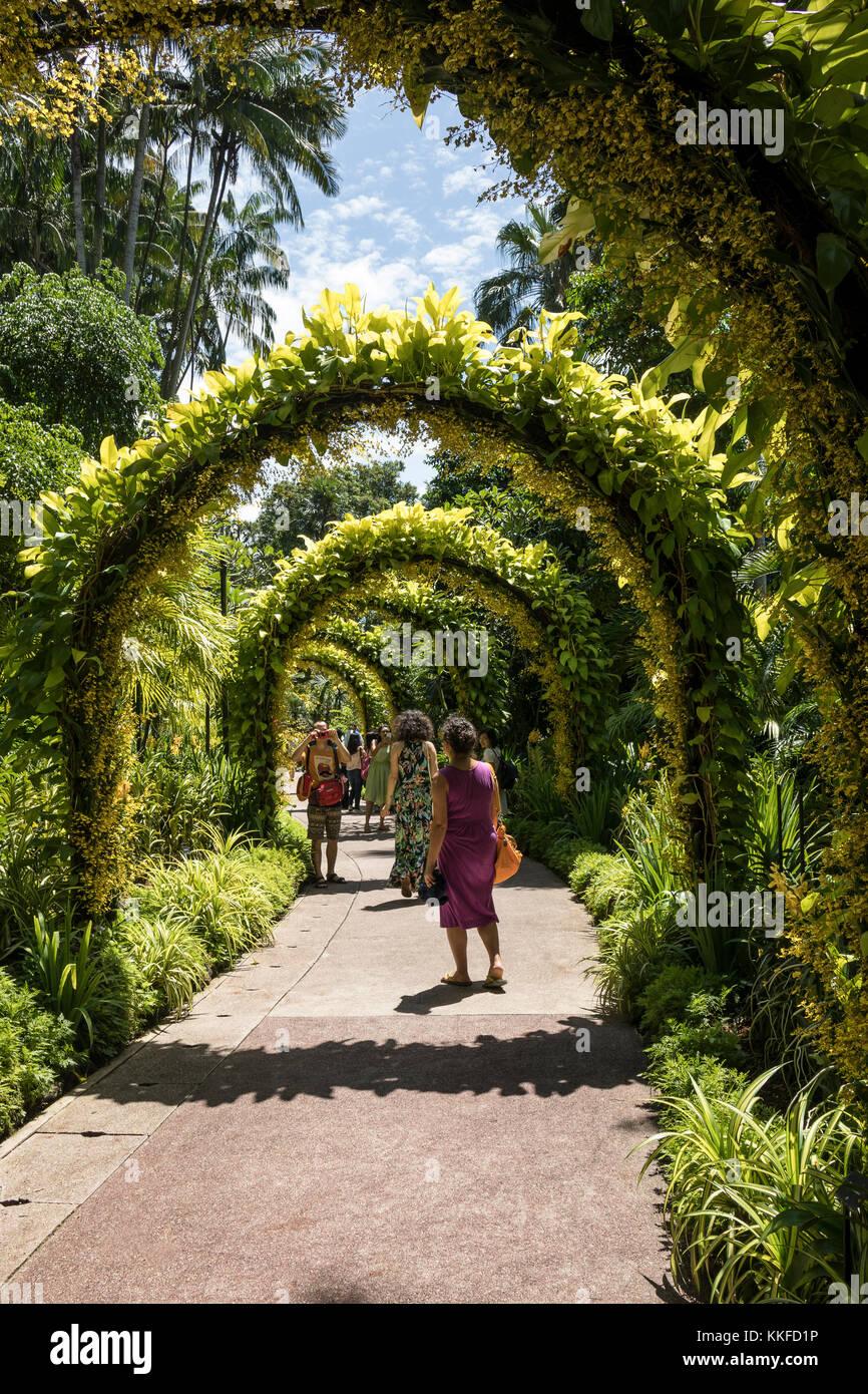 National Orchid giardini presso i Giardini Botanici di Singapore, una destinazione popolare per i turisti Foto Stock