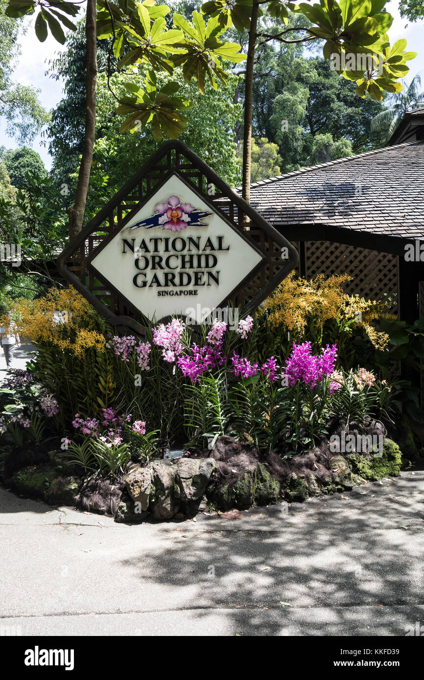 National Orchid giardini presso i Giardini Botanici di Singapore, una destinazione popolare per i turisti Foto Stock