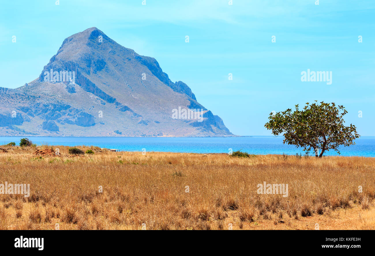 Albero Da Soli Di Fronte Azzurro Mare Tirreno Pittoresca