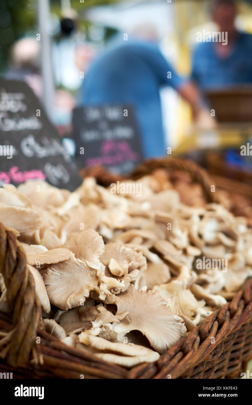 Funghi in vendita su una bancarella francese del mercato alimentare all'aperto (attenzione minima) Foto Stock