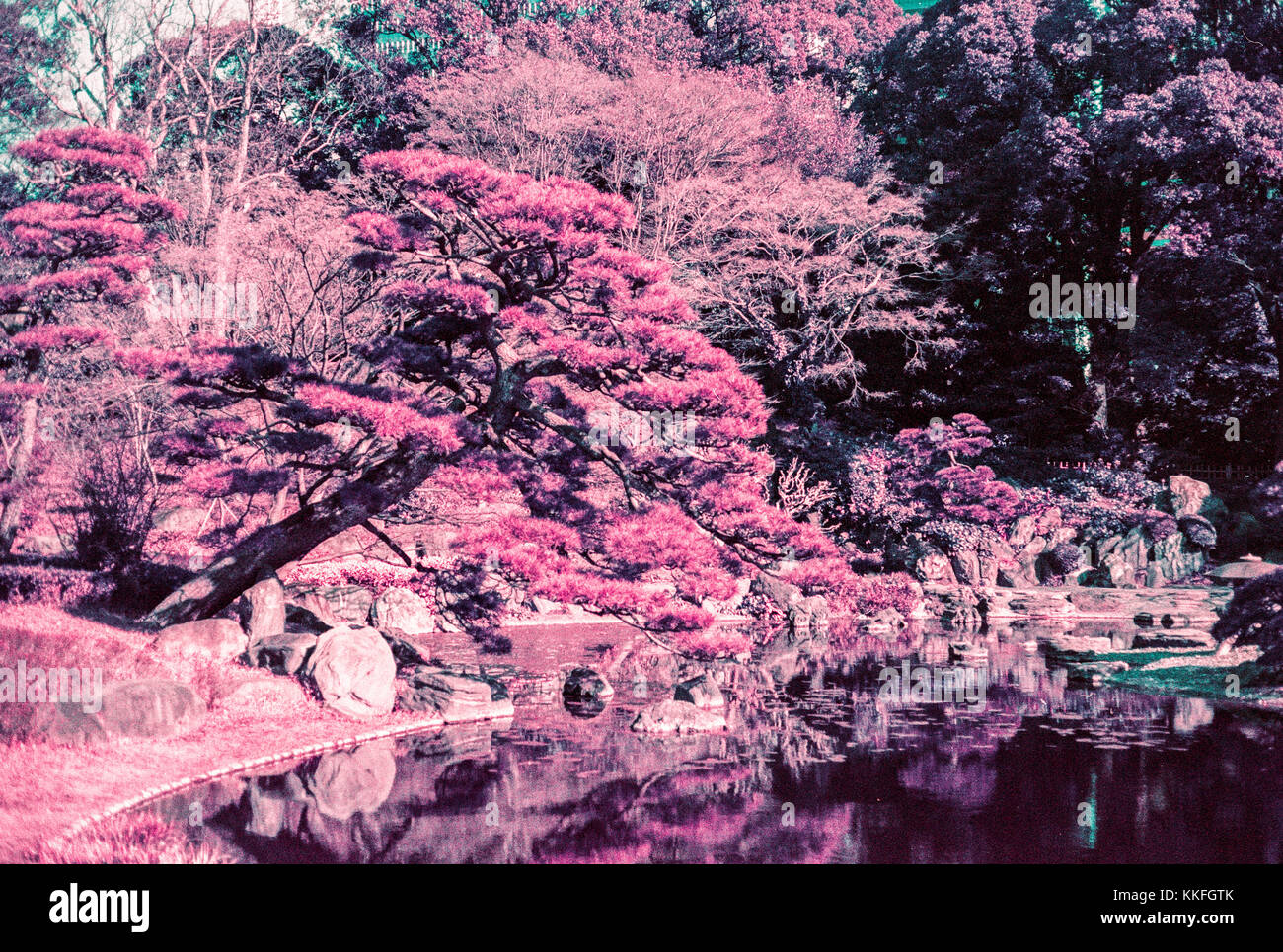 Splendida e tranquilla ninomaru giardino giapponese a Tokyo Imperial Palace Foto Stock