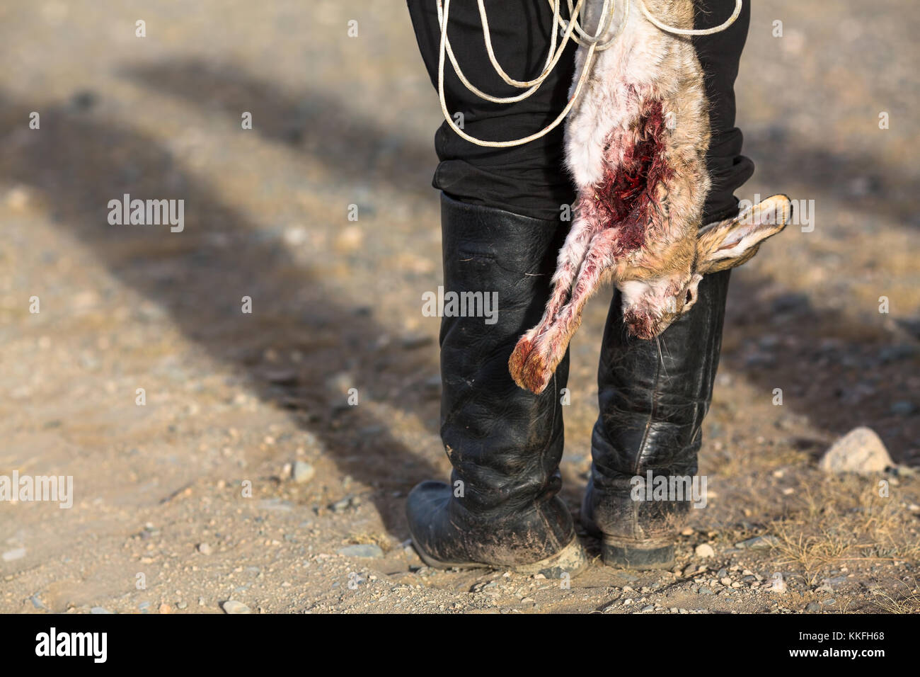 Hunter tenendo un trofeo di caccia morti sanguinosa coniglio. Foto Stock