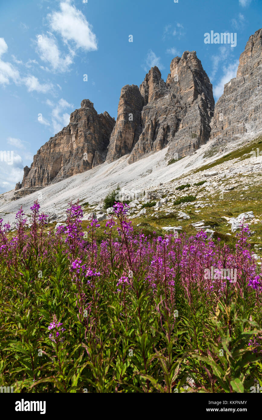 Tre Cime, Tre Picchi Parco Naturale, Dolomiti Sexten, Alto Adige, Italia Foto Stock