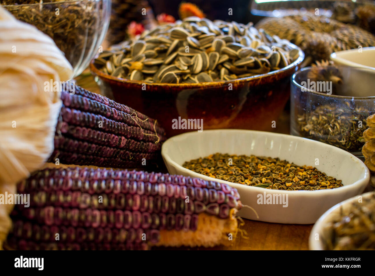 Eco living Foto Stock