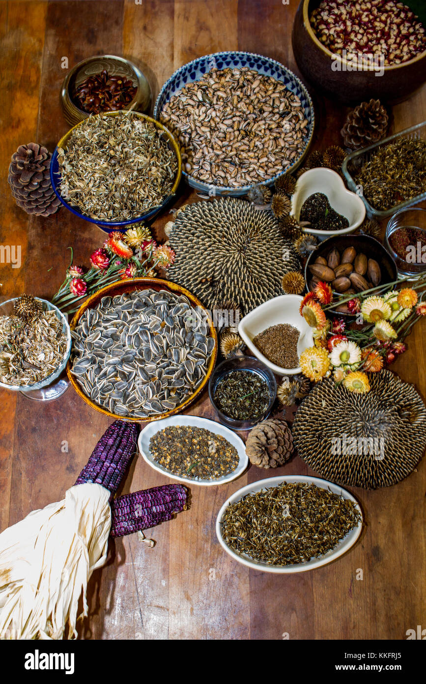 Eco living Foto Stock