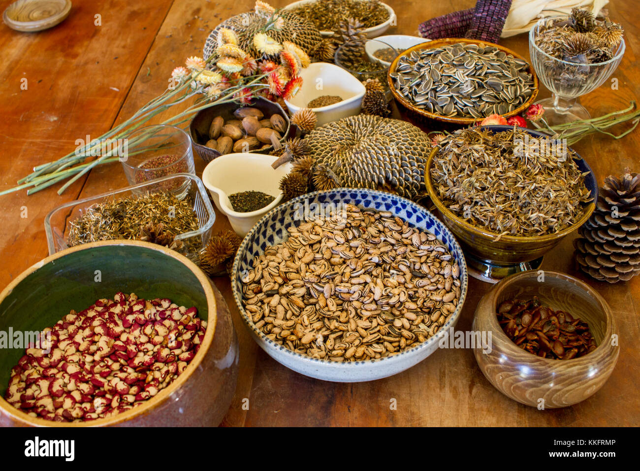 Eco living Foto Stock