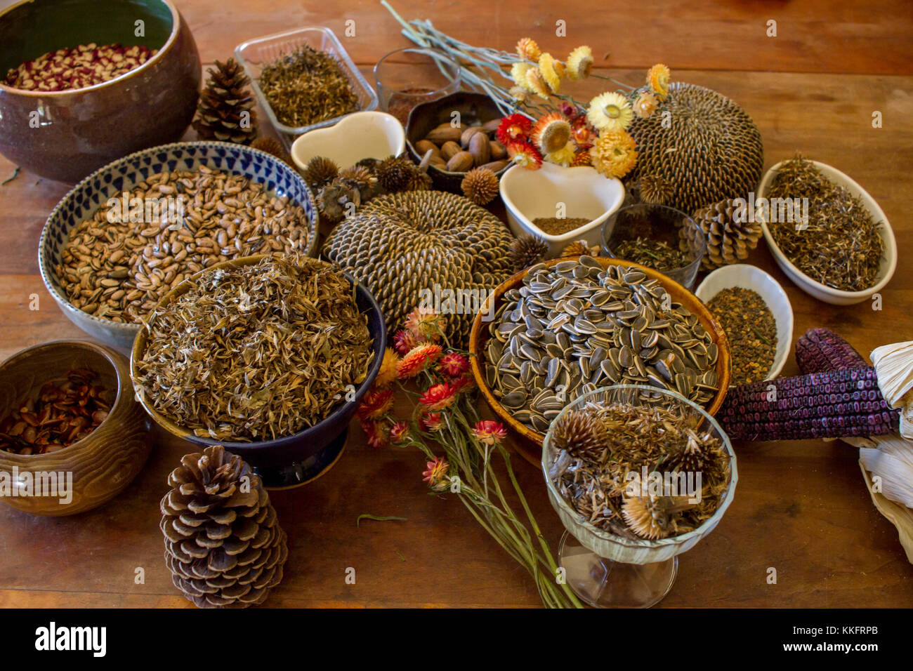 Eco living Foto Stock