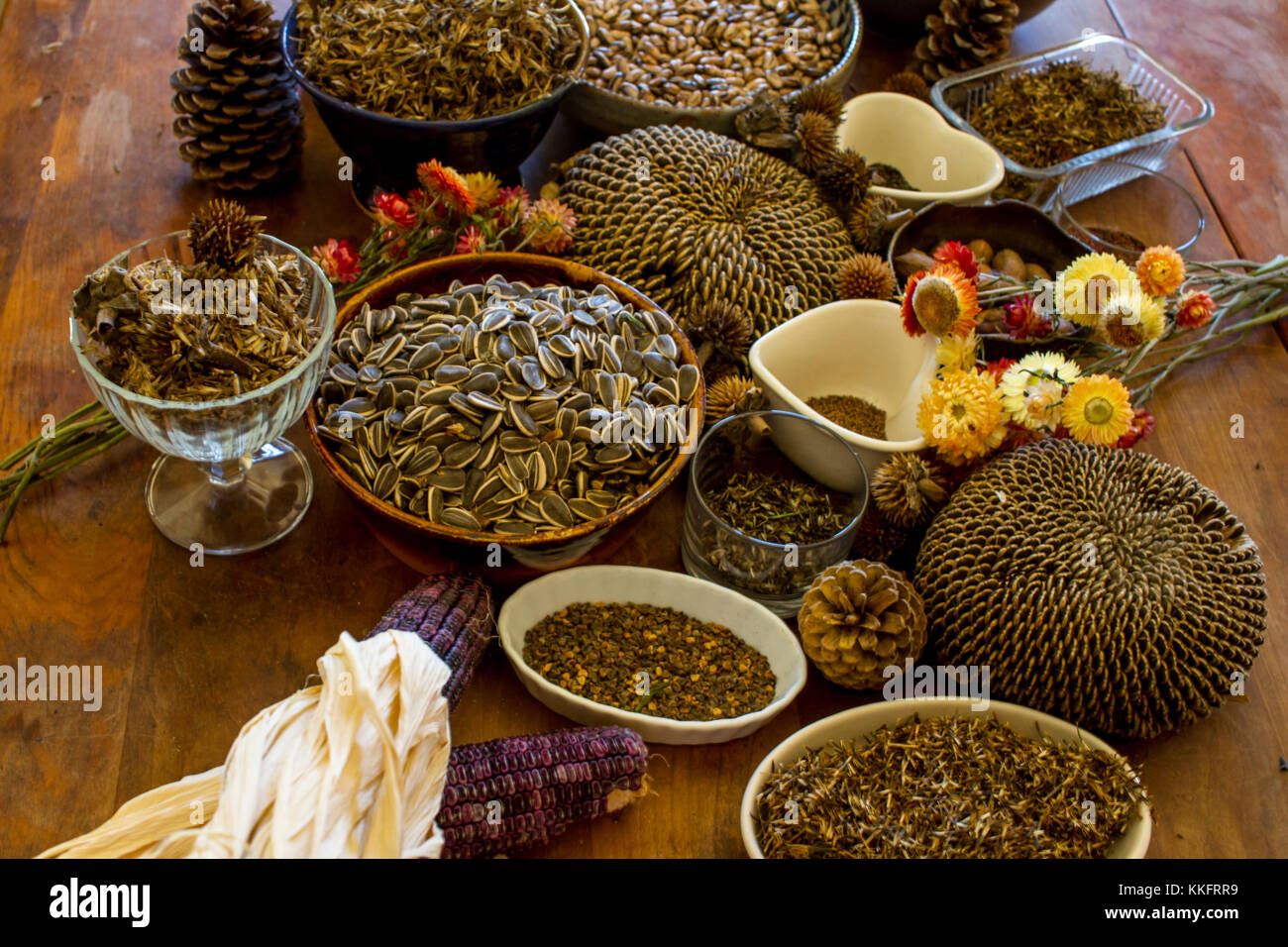 Eco living Foto Stock