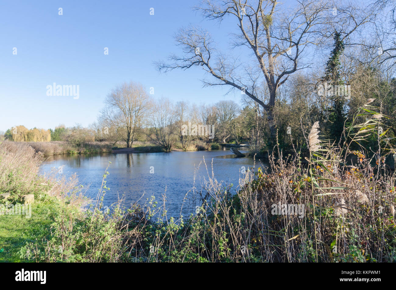 Il sentiero lungo il fiume Avon nella periferia di Stratford-upon-Avon, Warwickshire, Regno Unito Foto Stock