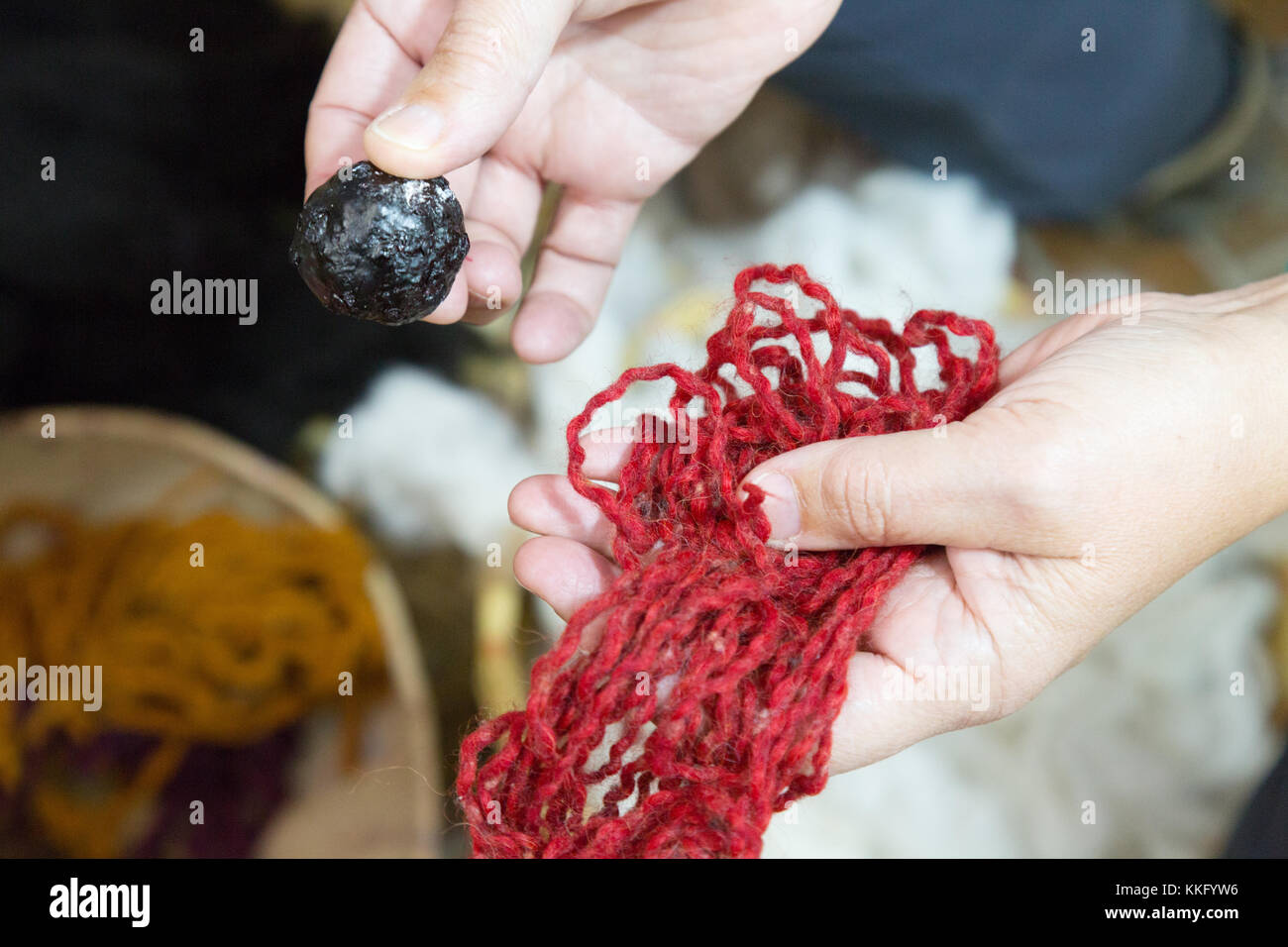 Ecuador cultura - una sfera di cocciniglia colorante utilizzato tradizionalmente per la colorazione della lana di colore rosso e la lana, in tessitura tradizionale, Ecuador, Sud America Foto Stock