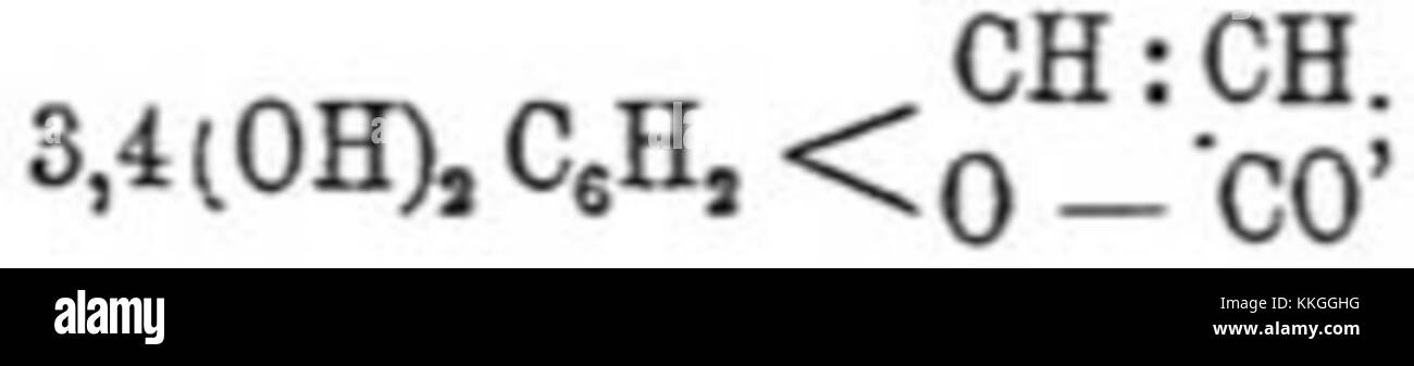 Voce del dizionario enciclopedico Brockhaus ed Efron, che fornisce informazioni dettagliate su un argomento, facendo riferimento al volume e al numero di pagina specifici. Foto Stock