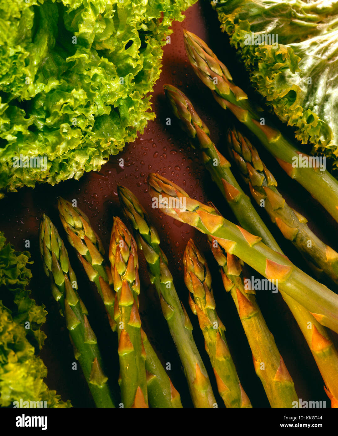 Prodotti alimentari - punte di asparagi - coltivata per i suoi germogli commestibili e consumati come verdura. Inoltre conoscere come sparrow erba. Foto Stock