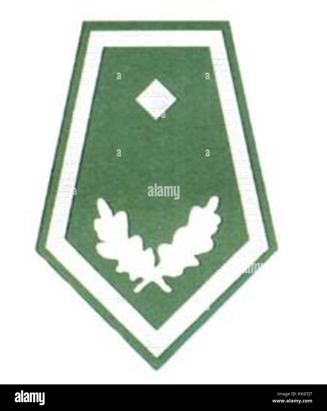 Gajowy è un termine tradizionale polacco che si riferisce a un ranger forestale o a un forestiero. Questo ruolo è parte integrante della gestione delle foreste e della fauna selvatica, in particolare nelle regioni polacche ricche di foreste, dove la conservazione della natura e della fauna selvatica è fondamentale. Foto Stock