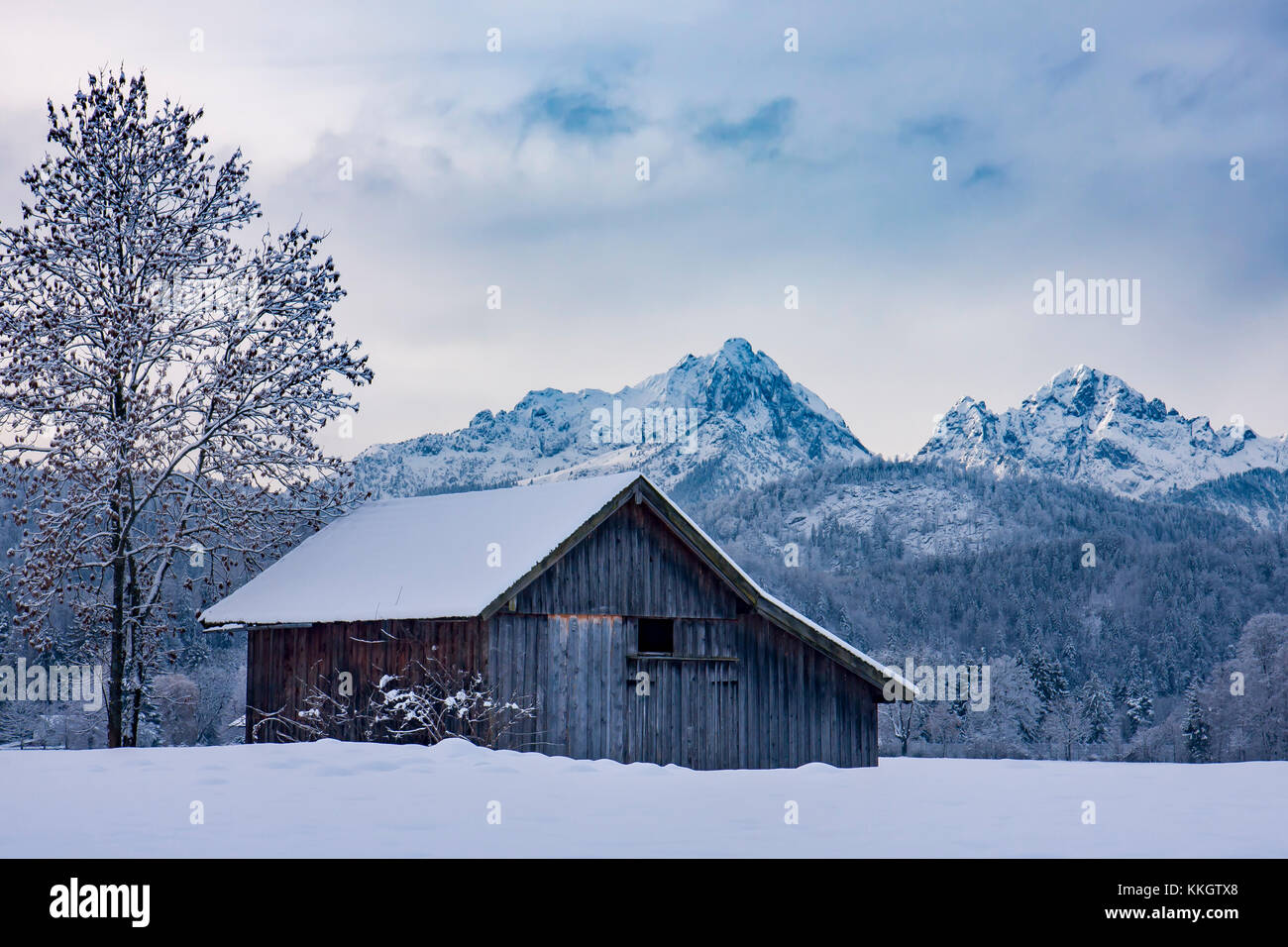 Gli agricoltori solitaria capanna nella neve, Baviera, Germania Foto Stock
