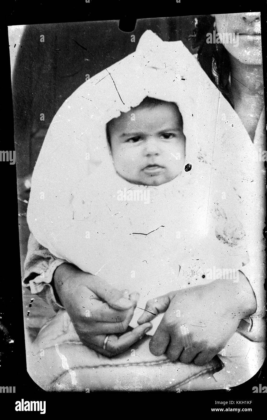 Una fotografia dal titolo 'Bebelu? CA 20131212 (11341651304)', scattata il 12 dicembre 2013, in California. Il contenuto e il contesto dell'immagine non sono specificati. Foto Stock