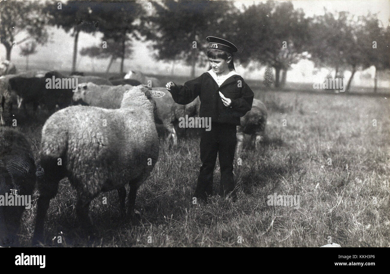 Alexei Nikolaevich, il figlio dello zar Nicola II, è mostrato giocare con le pecore, raffigurando un momento tenero della sua infanzia nella famiglia imperiale russa. Foto Stock