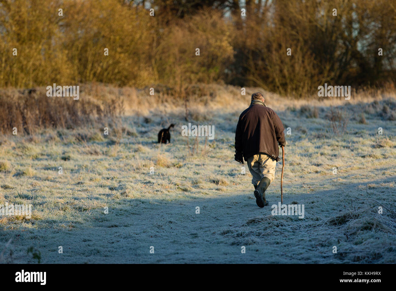 Celbridge, Irlanda. 01 Dic, 2017. Bellissimo il pupazzo di neve di mattina e croccante di aria fresca del 1 dicembre con temperature rimanendo al di sotto dello zero. L'uomo godendo di una passeggiata con il suo cane attraverso le rime erba del Castletown Park a Celbridge Foto Stock