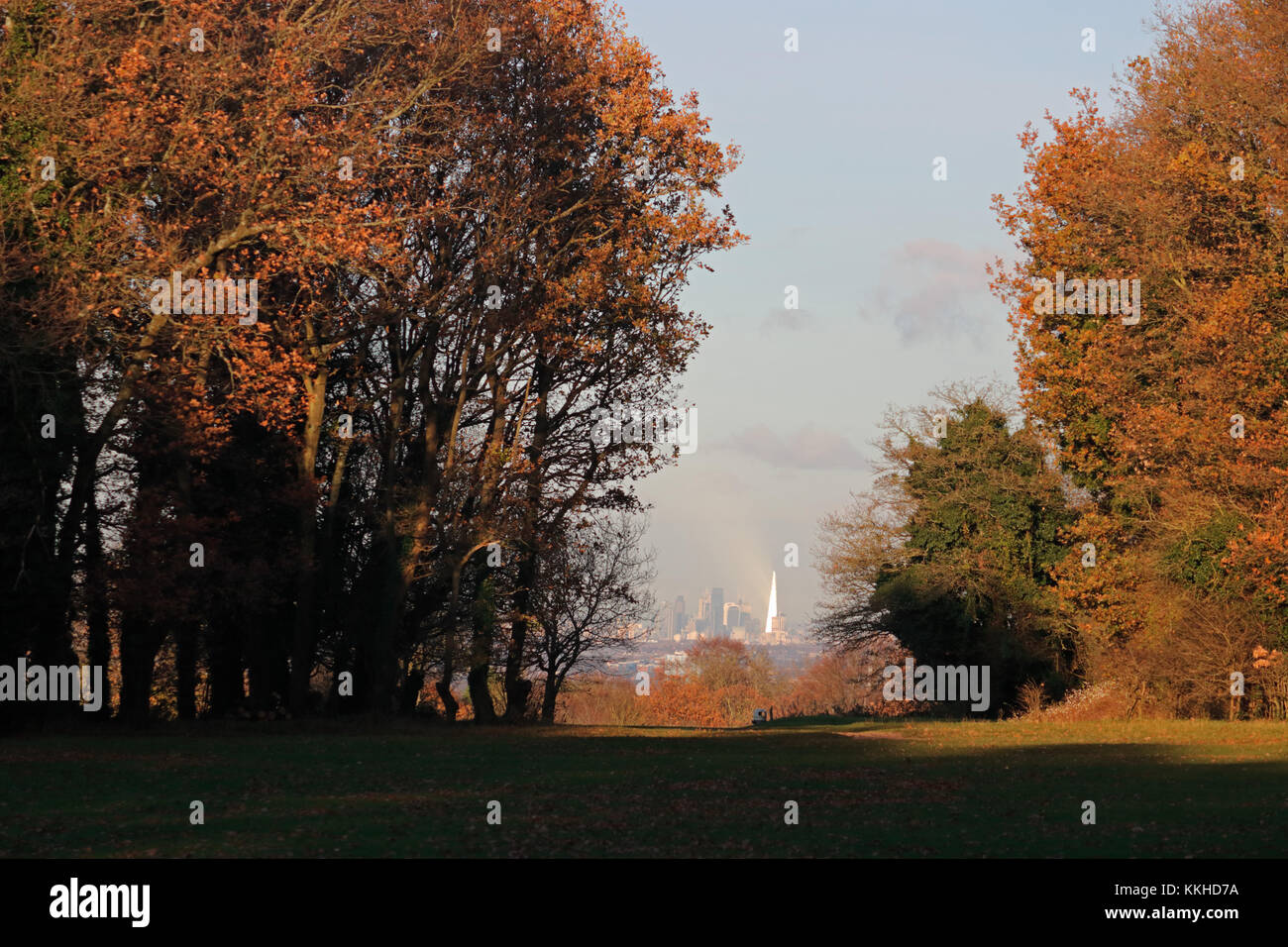 Epsom Downs, Surrey, Regno Unito. 1 dicembre, 2017. Il pomeriggio di sole risplende sulla Shard nel centro di Londra come visto da Epsom Downs nel Surrey, il primo giorno dell'inverno. Credito: Julia Gavin/Alamy Live News Foto Stock