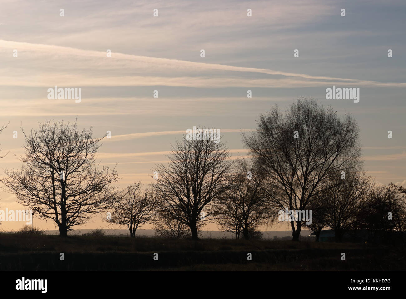 Epsom Downs, Surrey, Regno Unito. 1 dicembre, 2017. Alberi in silhouette contro il sole di setting su Epsom Downs nel Surrey, su un freddo pomeriggio del primo giorno d'inverno. Credito: Julia Gavin/Alamy Live News Foto Stock