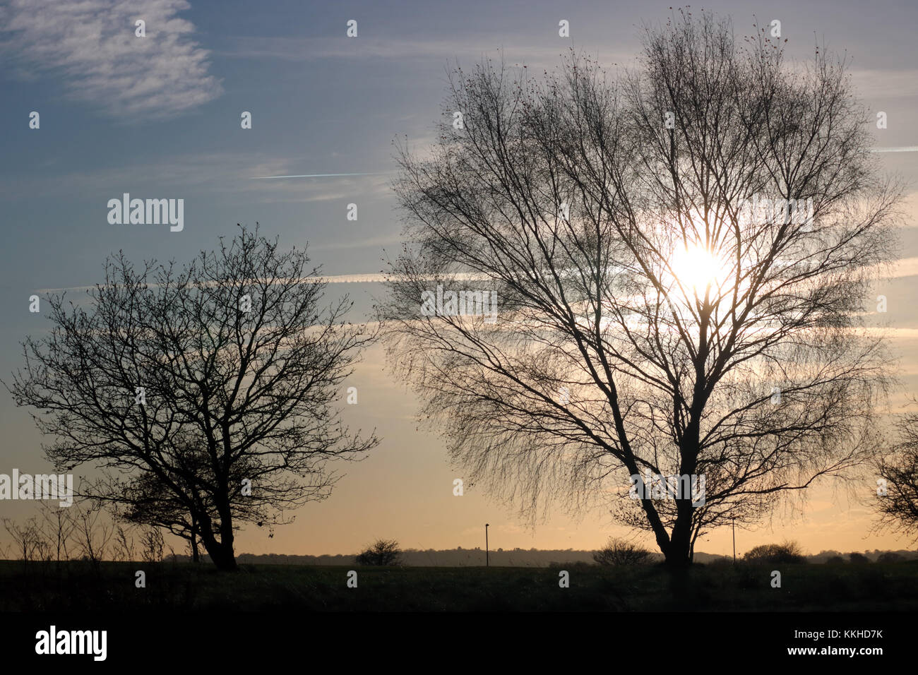 Epsom Downs, Surrey, Regno Unito. 1 dicembre, 2017. Alberi in silhouette contro il sole di setting su Epsom Downs nel Surrey, su un freddo pomeriggio del primo giorno d'inverno. Credito: Julia Gavin/Alamy Live News Foto Stock