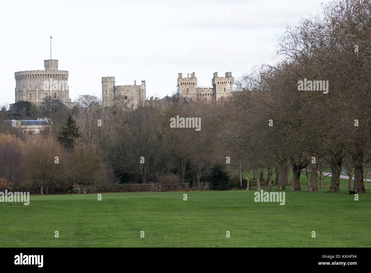 Windsor, Regno Unito. 1 dicembre, 2017. una vista del castello di Windsor dal Windsor Great Park. Credito: mark kerrison/alamy live news Foto Stock