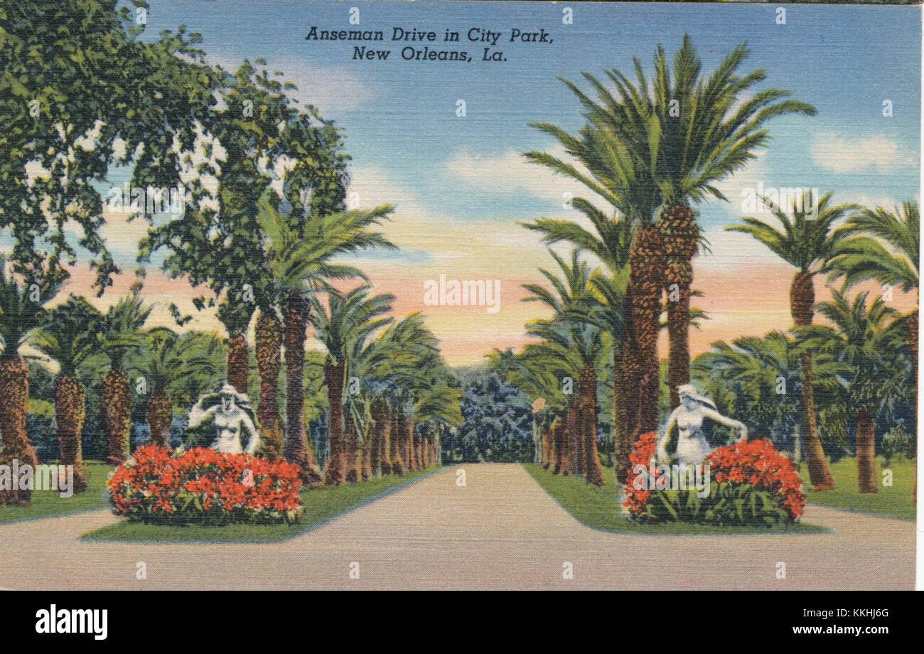 Questa cartolina offre una vista panoramica del parco cittadino di New Orleans, in particolare di Anseman Drive. Il parco è noto per le sue ampie querce, i sentieri per passeggiate e i luoghi di interesse culturale. City Park è uno dei più grandi parchi urbani degli Stati Uniti e una destinazione culturale e ricreativa chiave di New Orleans. Foto Stock