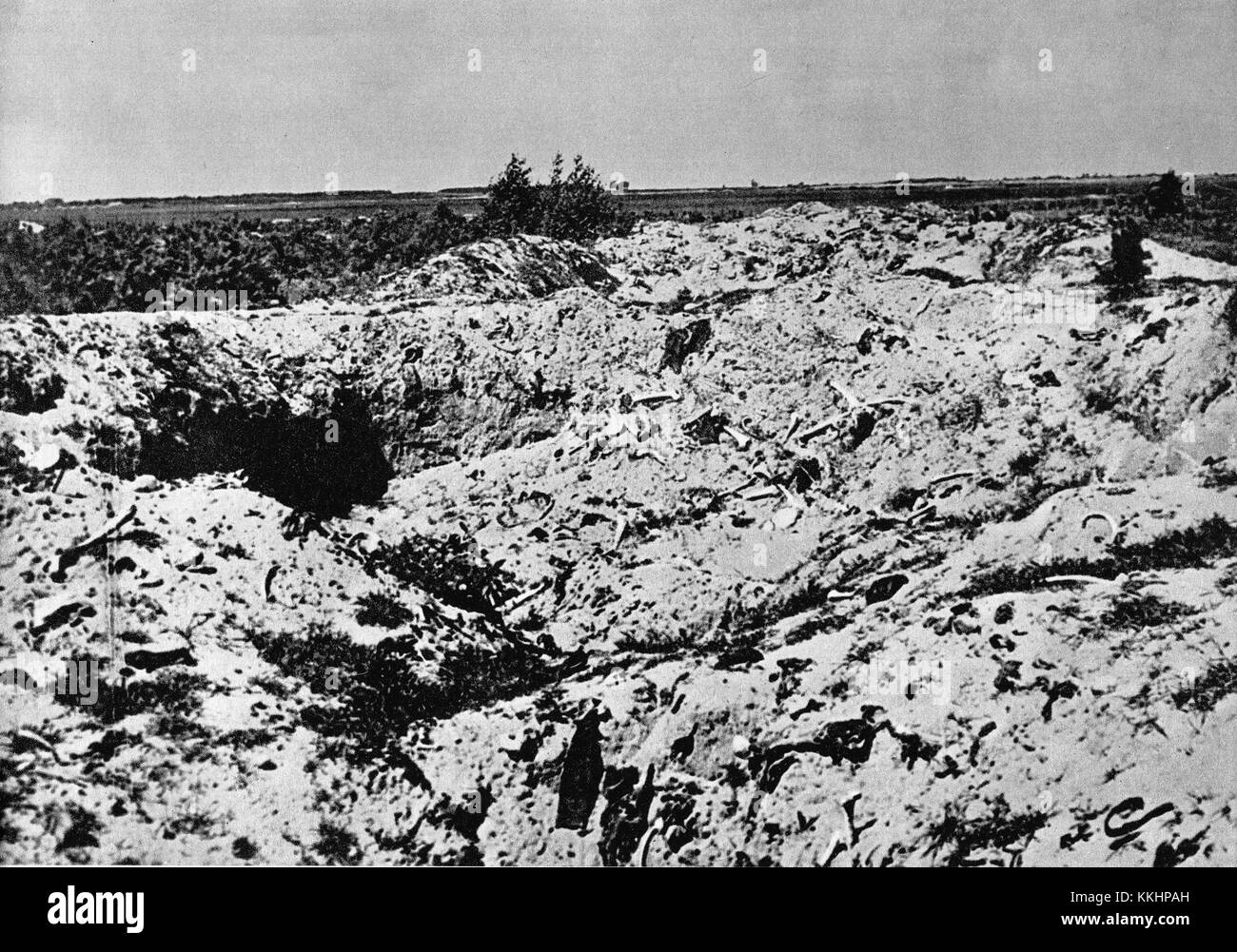 Treblinka campo di sterminio estate 1945 01 Foto Stock