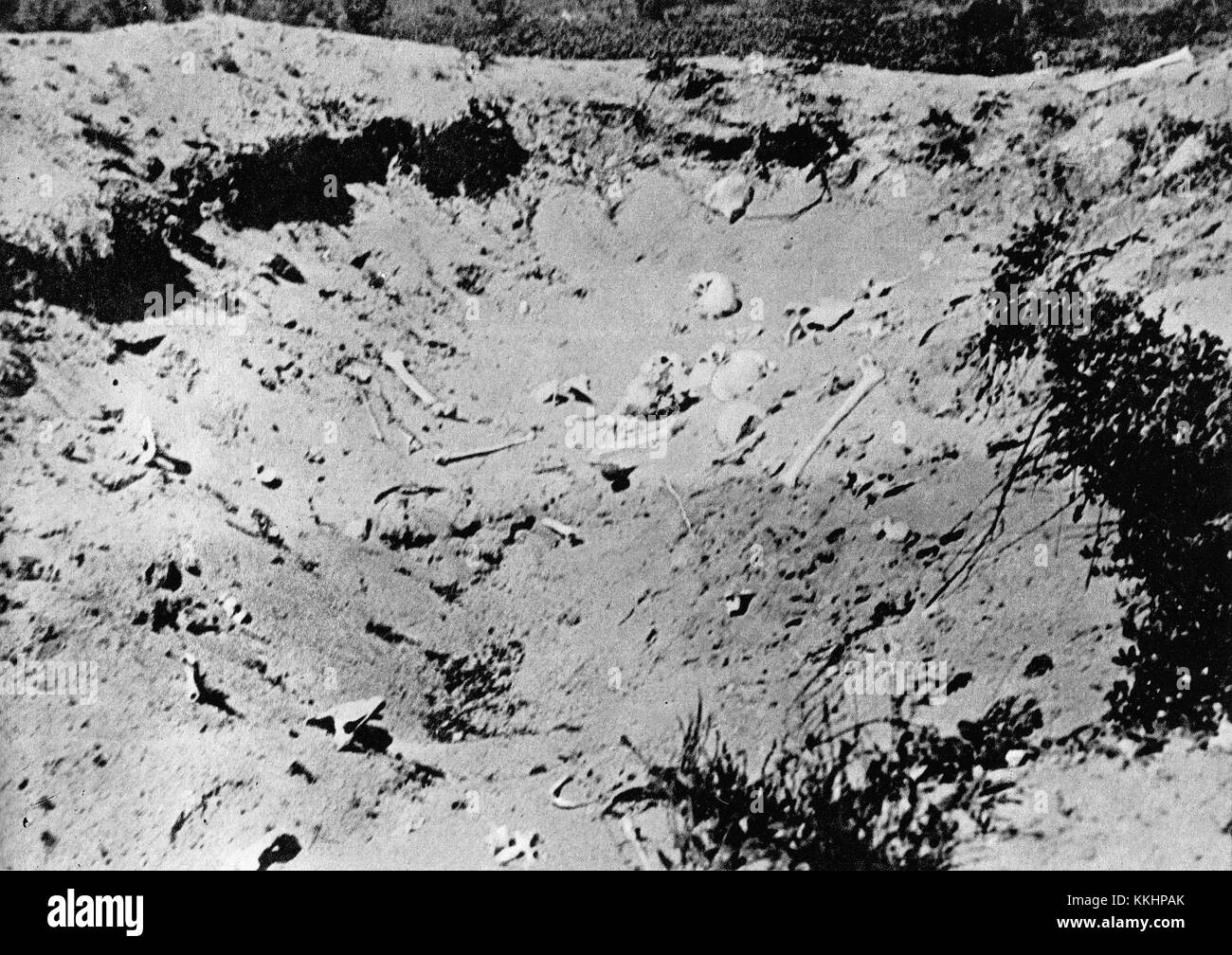 Treblinka campo di sterminio estate 1945 03 Foto Stock