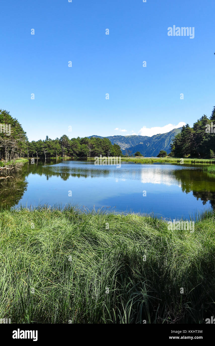 Panorama a bassa de oles. Valle de Arán dei Pirenei catalani, Spagna Foto Stock