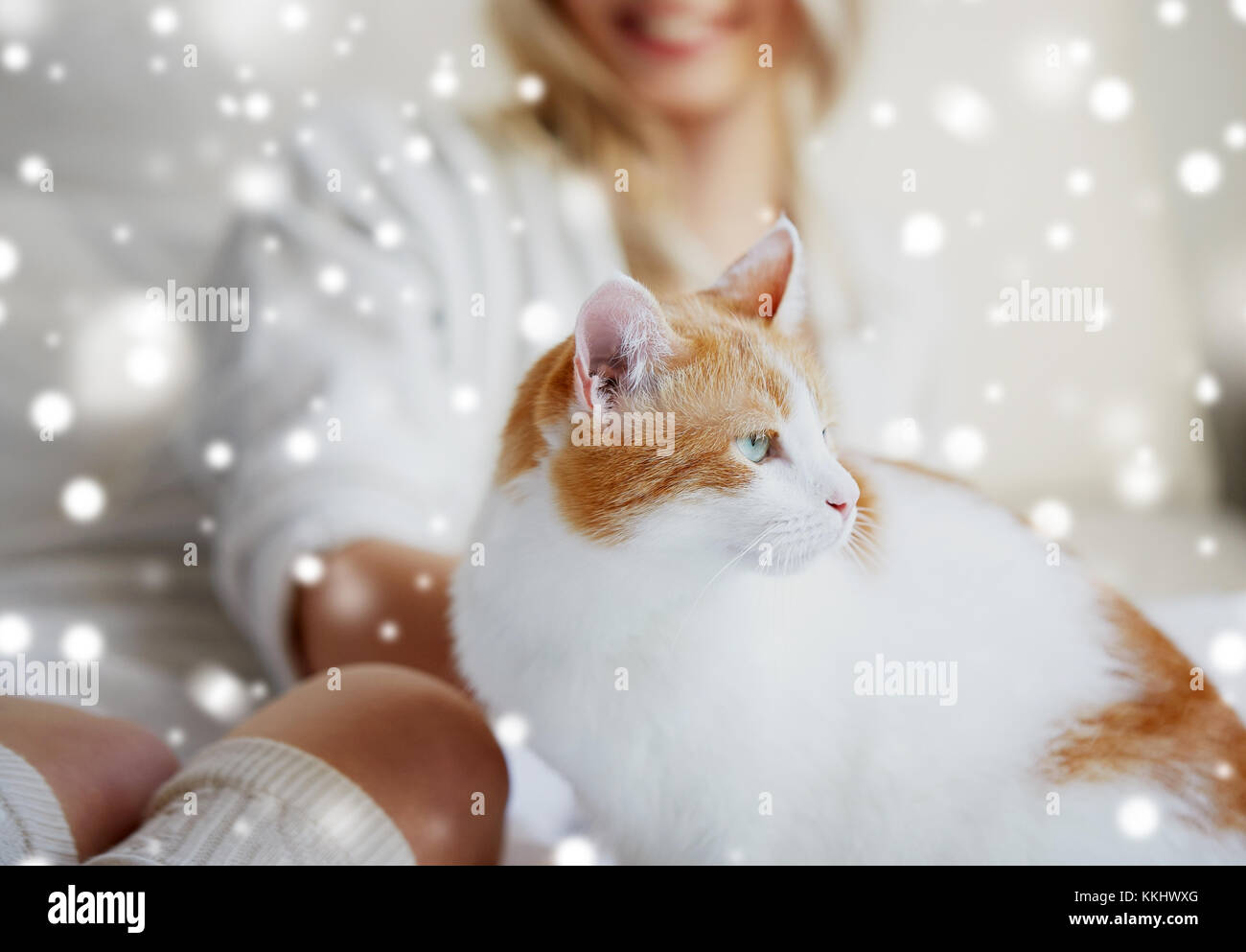 Felice giovane donna con gatto nel letto di casa Foto Stock