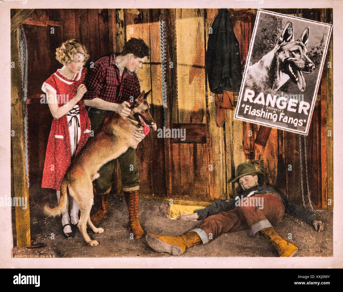 Fangs è un film del 1952 diretto da John Ford. La lobby card presenta scene chiave del film, che mettono in risalto le intense sequenze d'azione e gli aspri paesaggi del West americano. Foto Stock