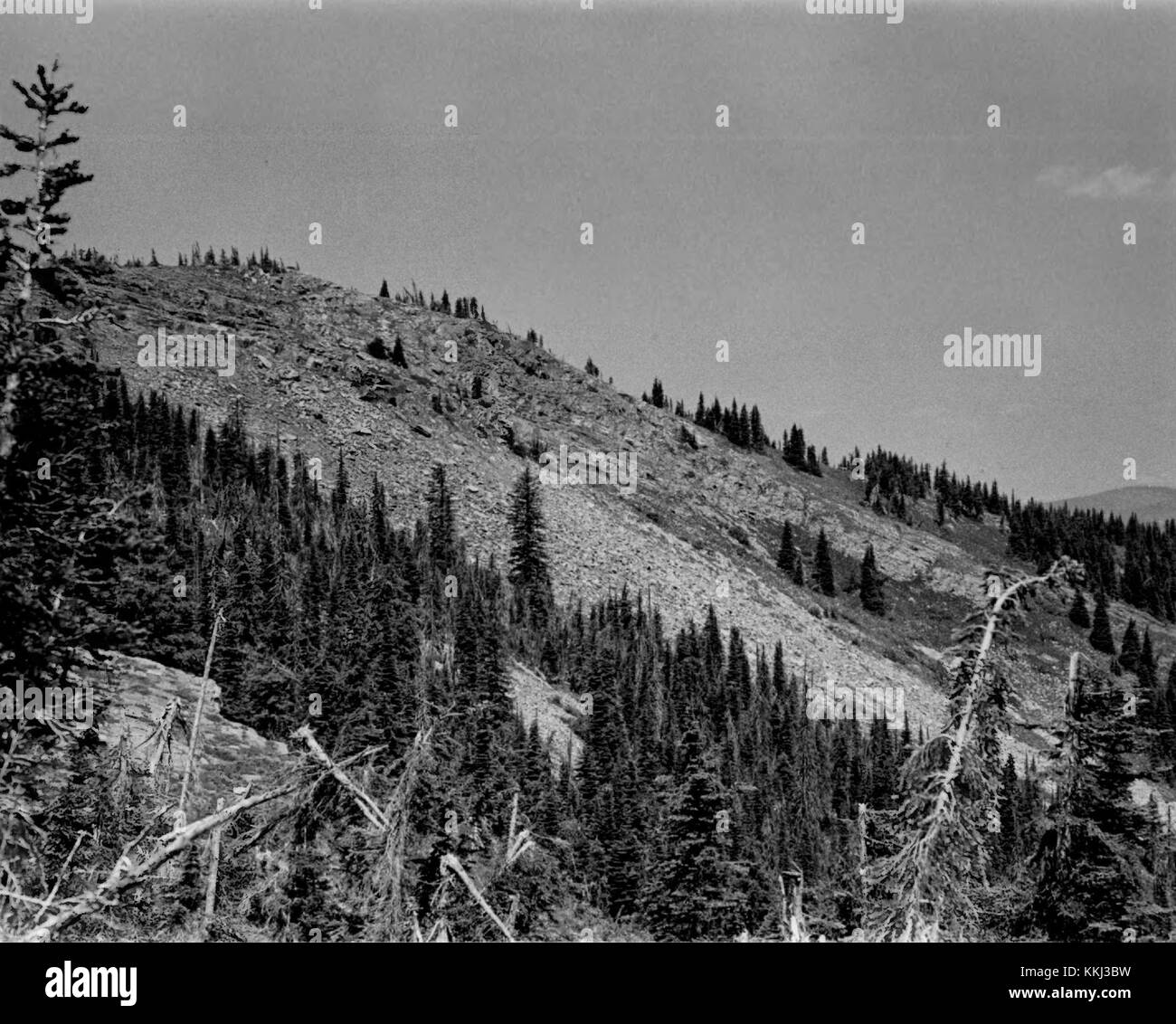 Harvey Mountain Quarry, situata nella Boundary County, Idaho, è un sito noto per le sue attività di estrazione di minerali. La cava è significativa per la sua produzione di vari minerali, contribuendo all'industria e all'economia locale. Il sito è anche notevole per le sue caratteristiche geologiche e il ruolo nell'estrazione delle risorse regionali. Foto Stock