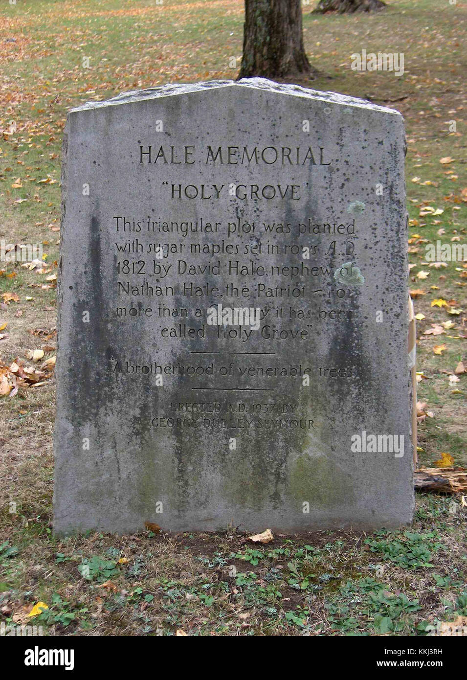 Il lapide della Nathan Hale Homestead onora il luogo di nascita di Nathan Hale, un patriota della Guerra d'indipendenza americana noto per la sua famosa citazione, "mi dispiace solo di avere una vita da perdere per il mio paese". Foto Stock
