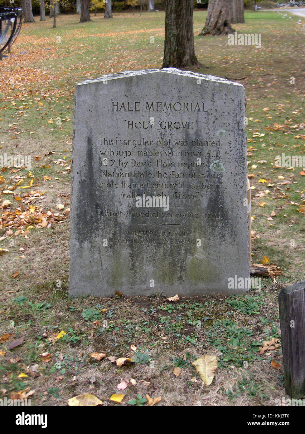 Un lapide presso la Nathan Hale Homestead di Coventry, Connecticut, commemora la piantagione di aceri da zucchero da parte di David Hale, nipote di Nathan Hale, in onore dell'eredità del patriota. Foto Stock