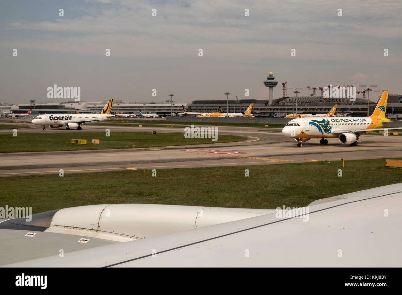 Tiger aria e a Cebu Pacific air.com aerei all'Aeroporto Internazionale di Changi Singapore Foto Stock