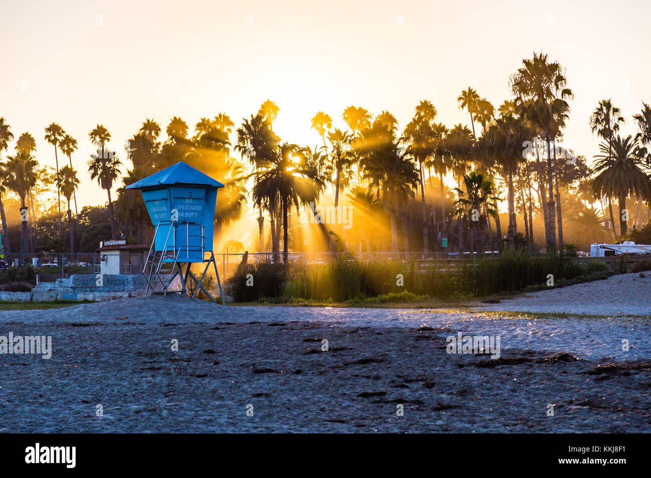 Sagome di palme al tramonto, santa barbara beach, nel sud della California, Stati Uniti d'America Foto Stock