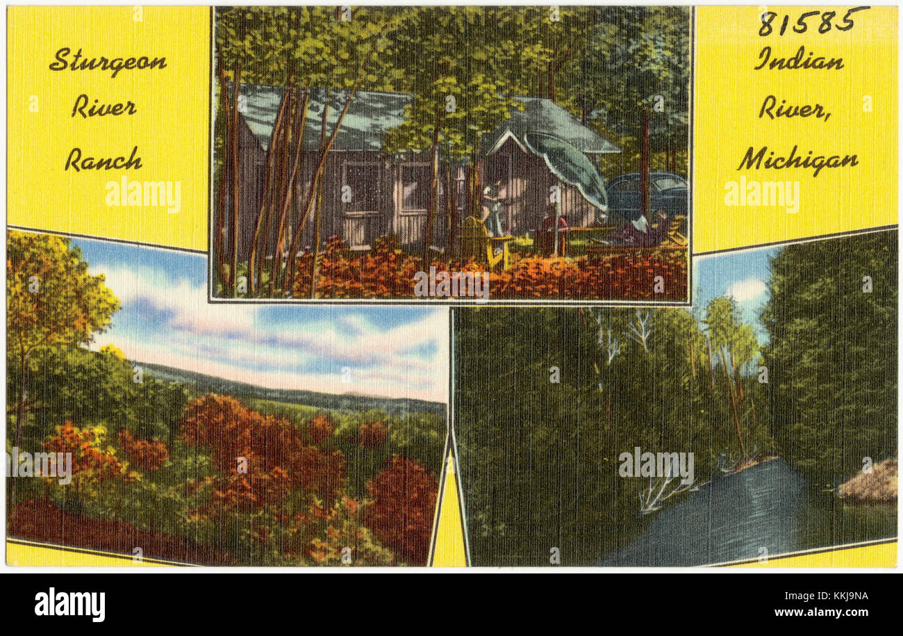 Lo Sturgeon River Ranch, situato a Indian River, Michigan, offre una vista pittoresca della vita rurale e della bellezza naturale della zona. Foto Stock