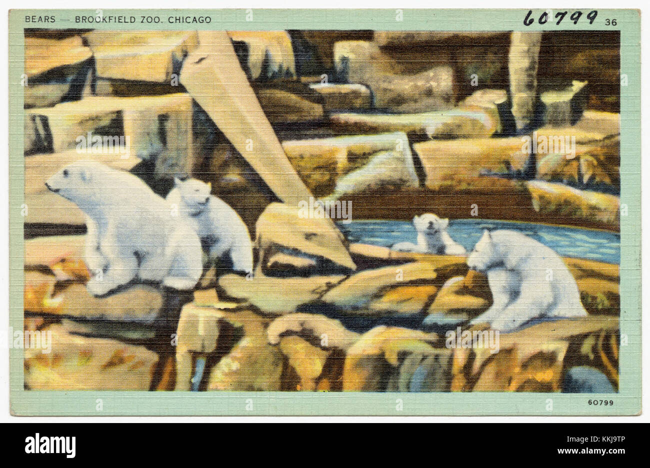 Questa immagine mostra la mostra Bears allo zoo Brookfield di Chicago. Lo zoo è noto per i suoi sforzi di conservazione della fauna selvatica e per le diverse mostre di animali. Foto Stock