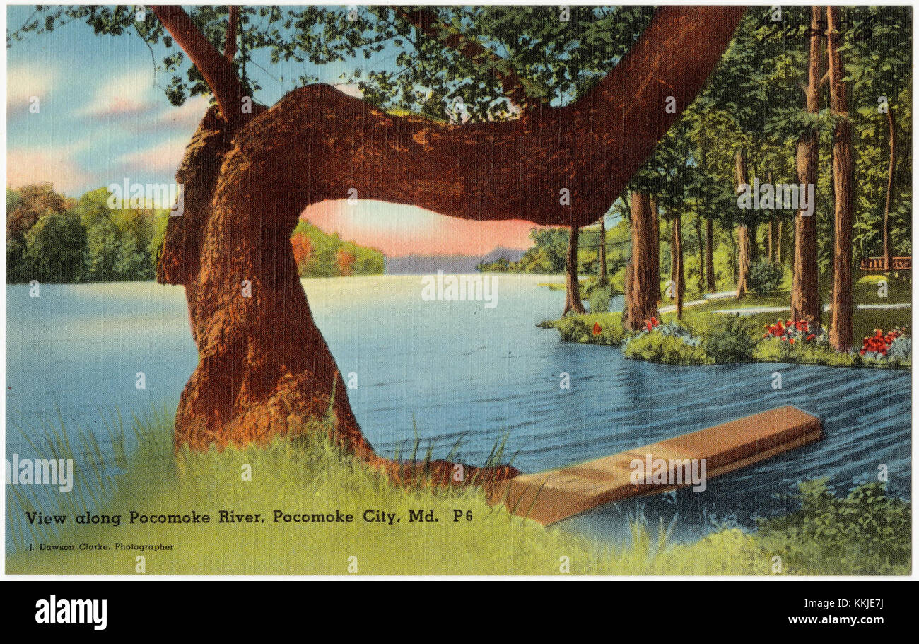 Questa immagine cattura una vista panoramica lungo il fiume Pocomoke a Pocomoke City, Maryland. Il fiume, una via d'acqua chiave della regione, offre paesaggi pittoreschi e costituisce un'importante risorsa ambientale e ricreativa. Foto Stock