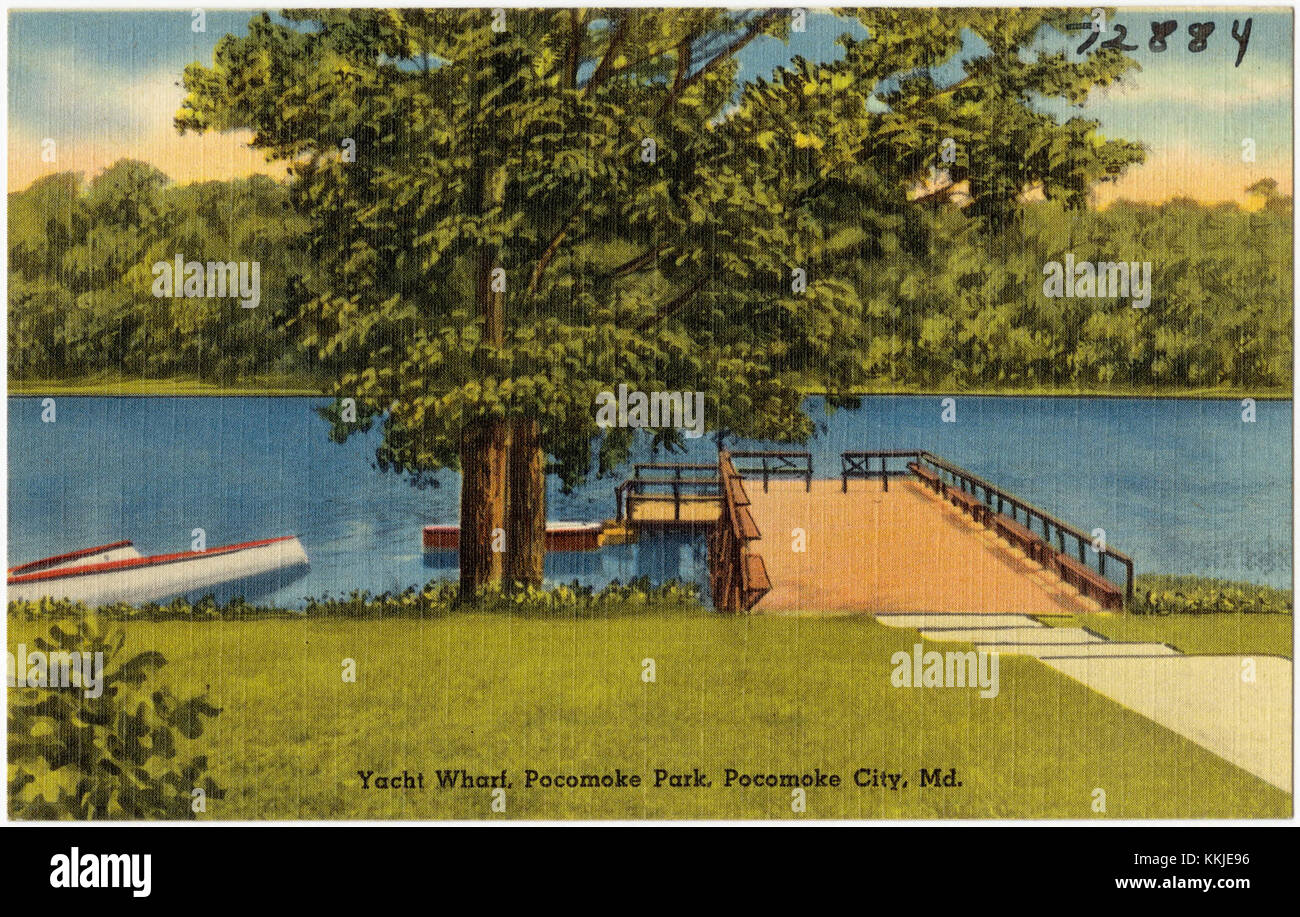 Yacht Wharf al Pocomoke Park, situato a Pocomoke City, Maryland. Questo porticciolo offre uno spazio per la nautica da diporto ed è parte integrante del lungomare del parco, utilizzato per il tempo libero e le attività all'aperto. Foto Stock