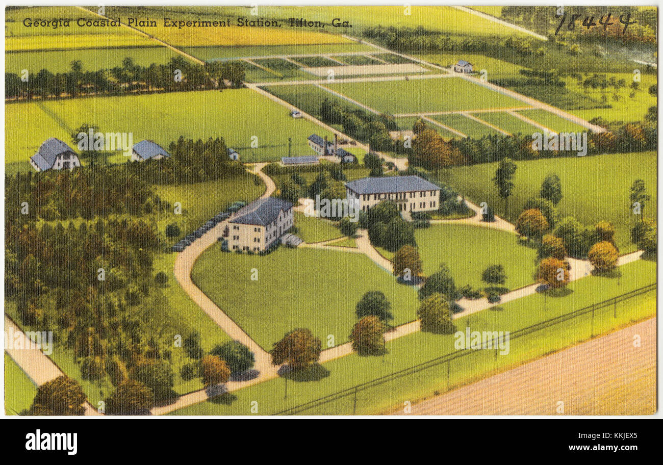 La Georgia Coastal Plain Experiment Station a Tifton, Georgia, si concentra sulla ricerca e lo sviluppo agricoli. Svolge un ruolo significativo nel progresso delle tecniche agricole e nel miglioramento delle rese agricole nella regione. Foto Stock